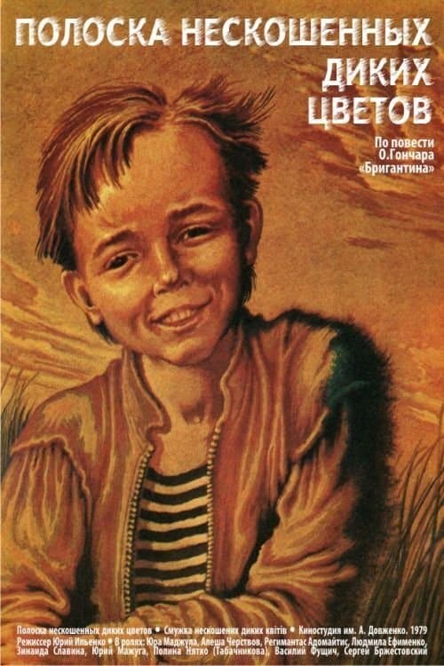 Полоска нескошенных диких цветовのポスター