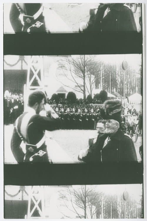 En bildserie ur konung Oscar II:s lifのポスター