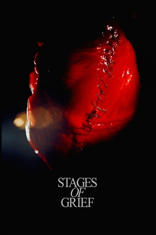 Stadier af sorgのポスター