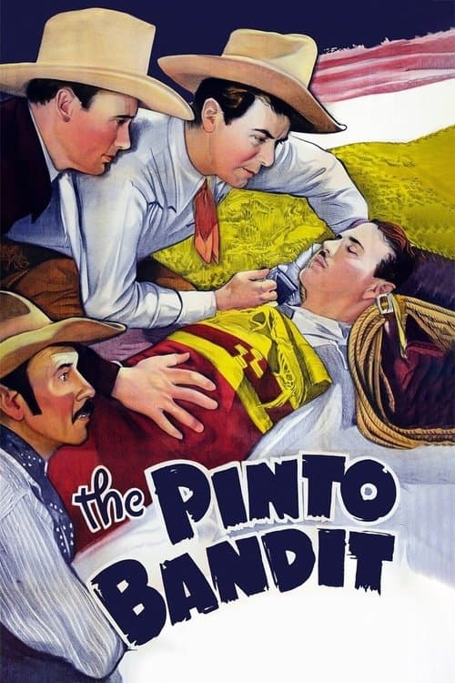 The Pinto Banditのポスター