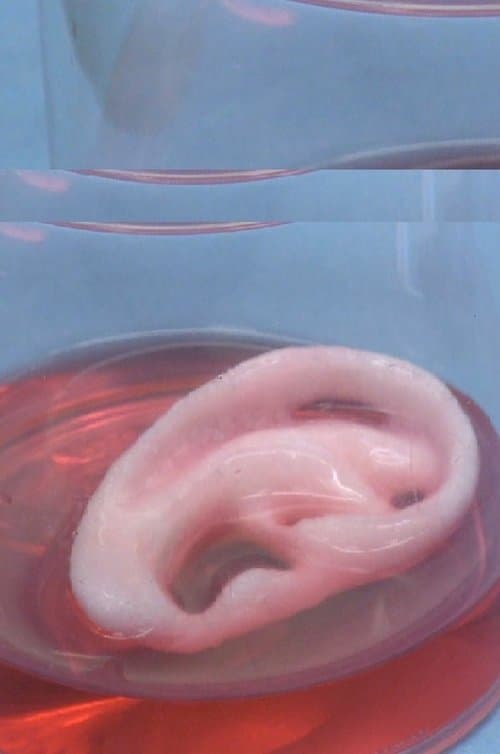 time/ OUT OF JOINTのポスター