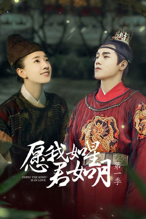 愿我如星君如月のポスター