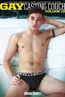 Gay Casting Couch 12のポスター