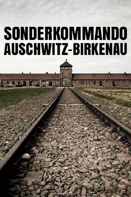 Sonderkommando Auschwitz-Birkenauのポスター