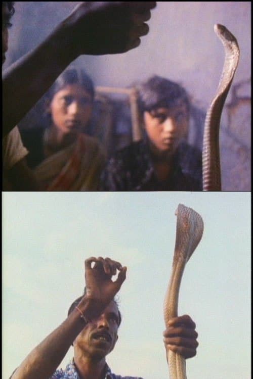 Serpent Motherのポスター