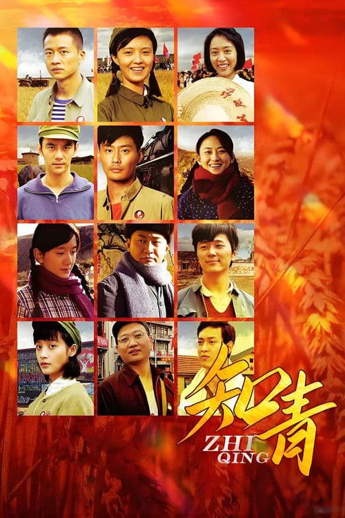 知青のポスター