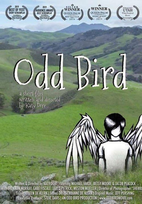 Odd Birdのポスター