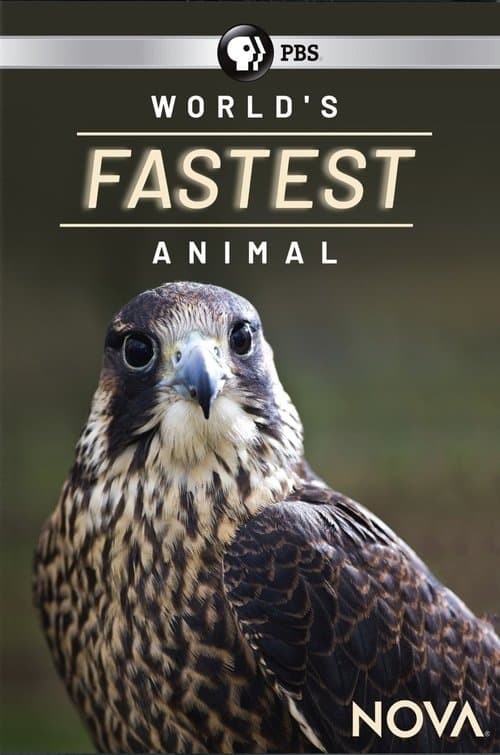 World's Fastest Animalのポスター