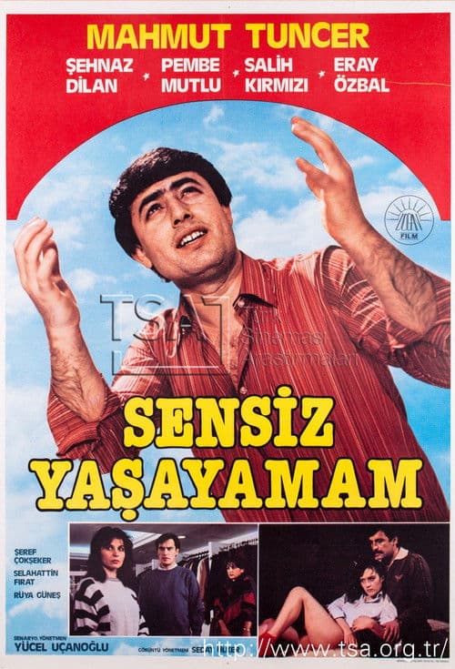 Sensiz Yaşayamamのポスター