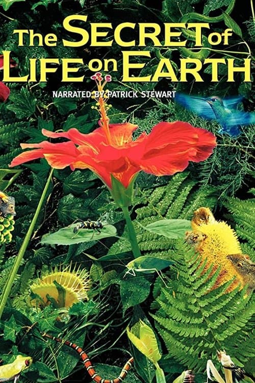 The Secret of Life on Earthのポスター