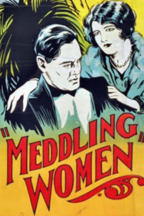 Meddling Womenのポスター