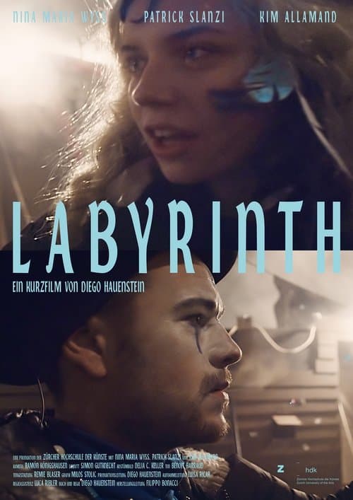 Labyrinthのポスター