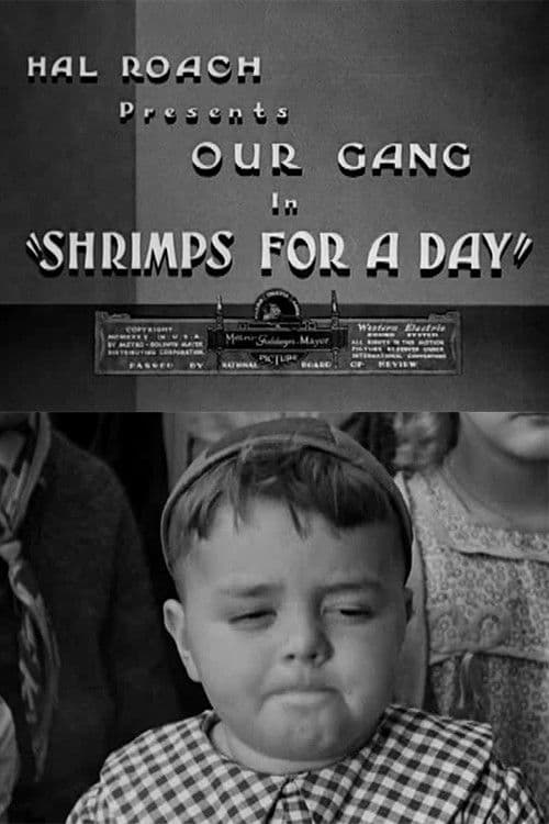 Shrimps for a Dayのポスター
