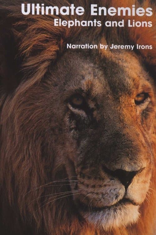 Ultimate Enemies: Elephants and Lionsのポスター