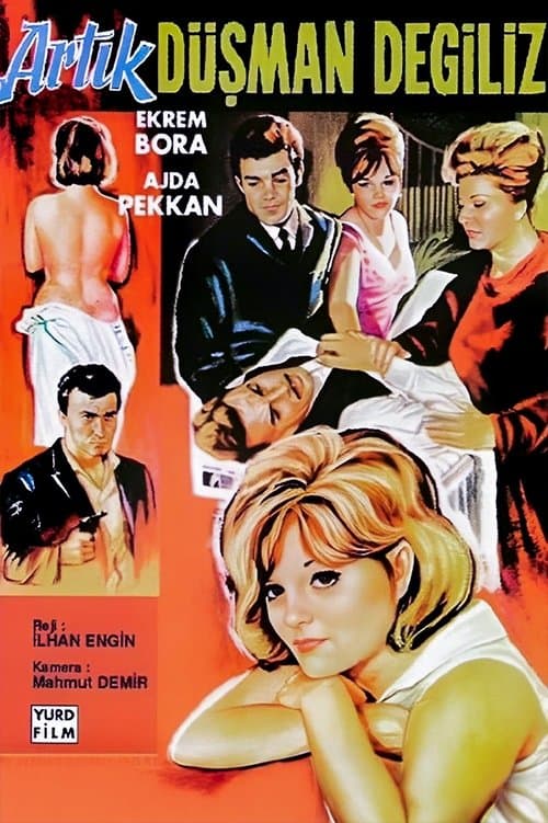 Artık Düşman Değilizのポスター