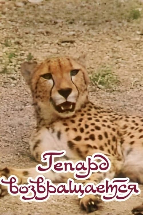 Гепард возвращаетсяのポスター