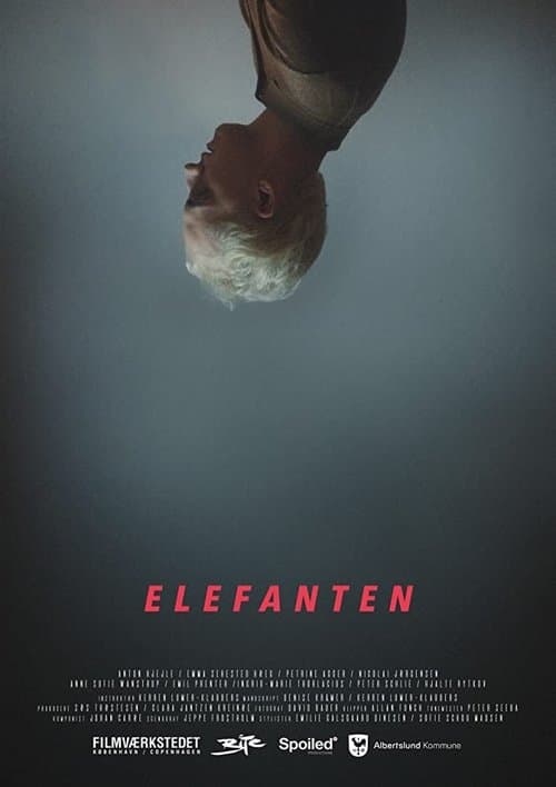 Elefantenのポスター