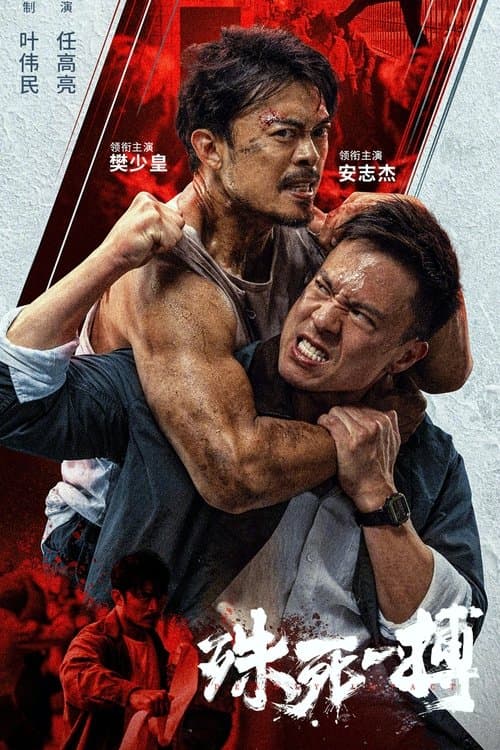 殊死一搏のポスター
