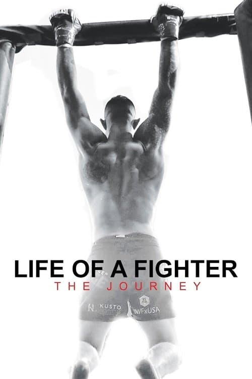 Life of a Fighter: The Journeyのポスター
