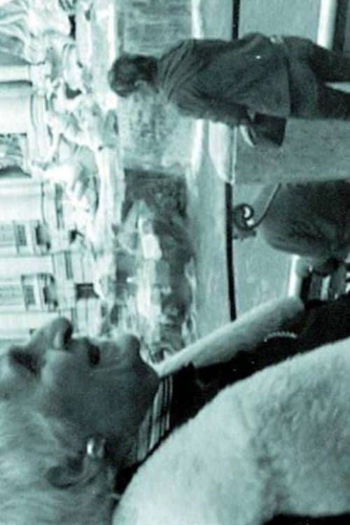 ПРЕВОДАЧКАТА НА ЧЕРНО-БЕЛИ ФИЛМИのポスター