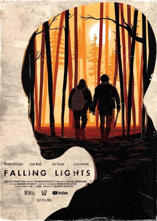 Falling Lightsのポスター