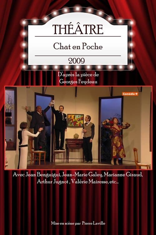 Chat en Pocheのポスター