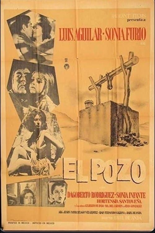 El pozoのポスター