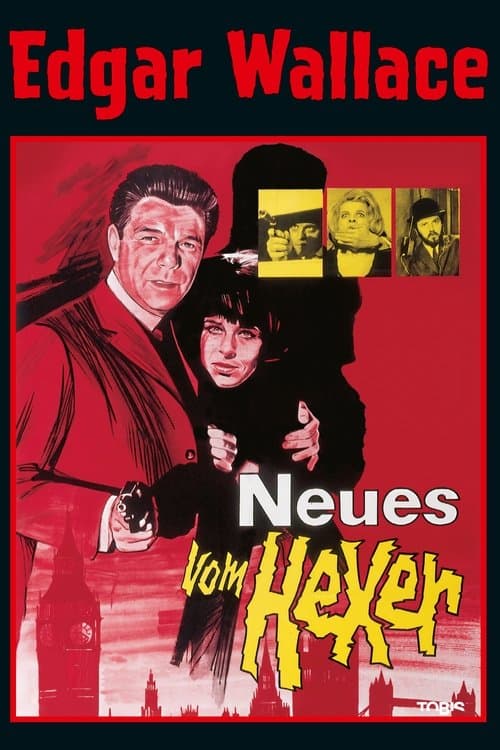 Neues vom Hexerのポスター
