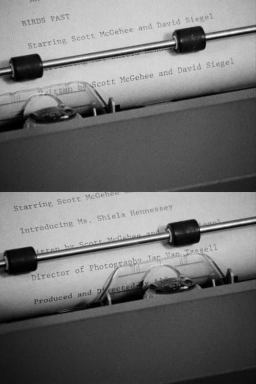 Birds Pastのポスター