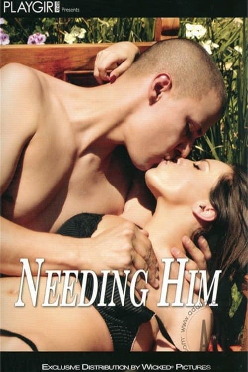 Playgirl: Needing Himのポスター