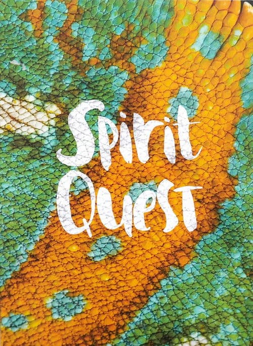 Spirit Questのポスター