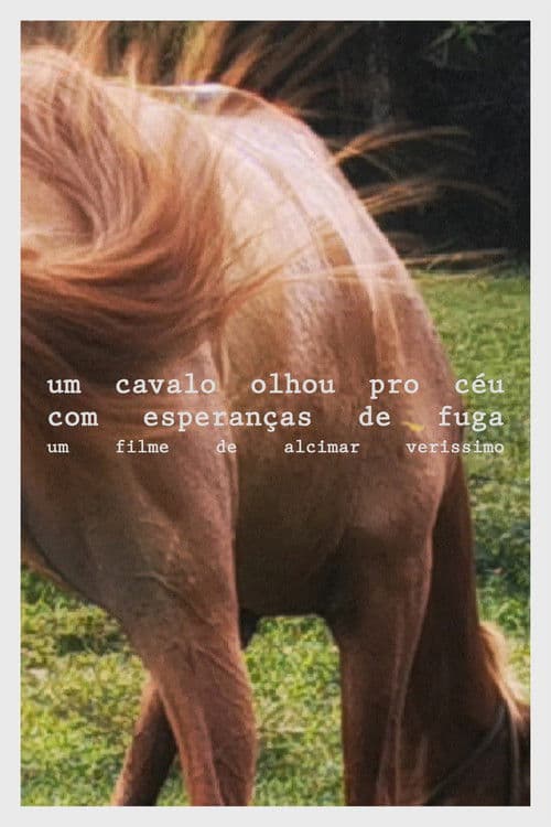 Um cavalo olhou pro céu com esperanças de fugaのポスター