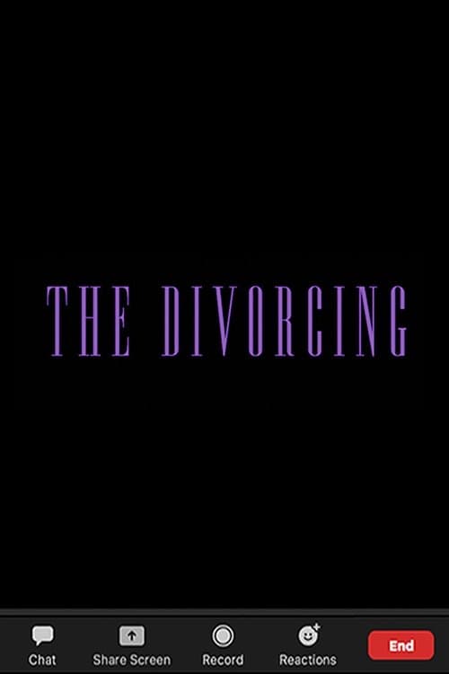The Divorcingのポスター