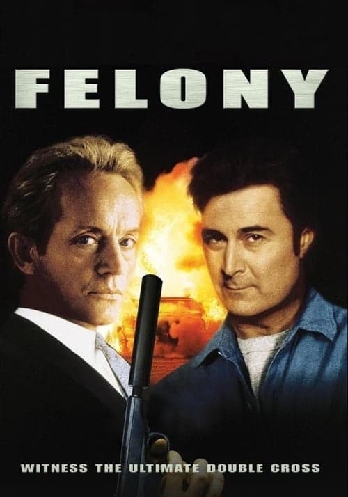 Felonyのポスター