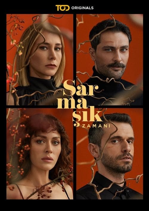 Sarmaşık Zamanıのポスター