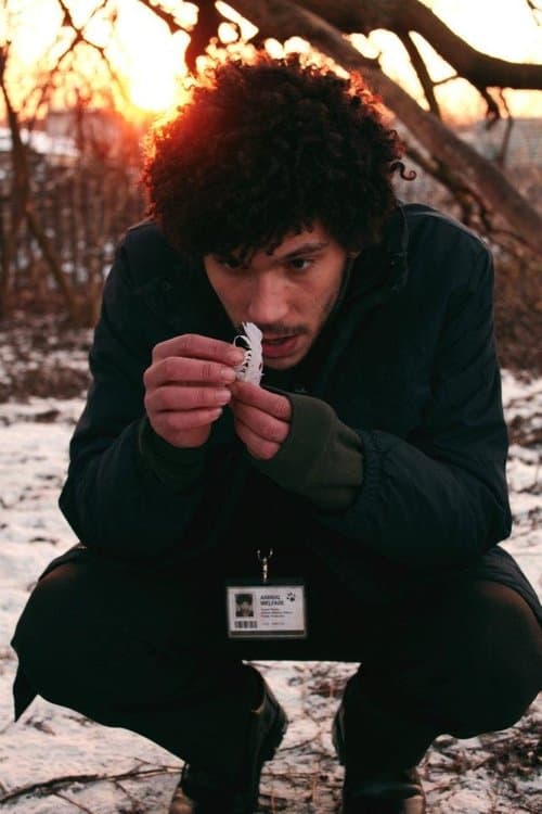 Dog Boyのポスター