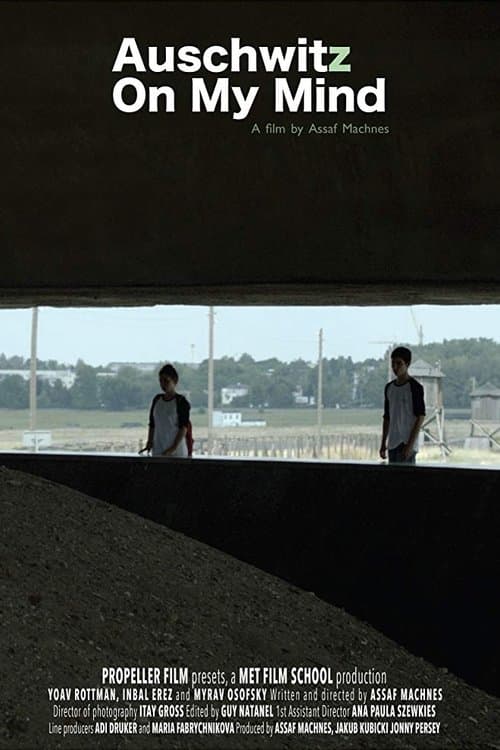 Auschwitz on My Mindのポスター