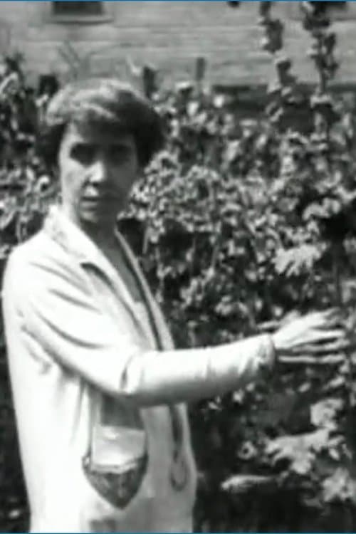 Visitin' 'round at Coolidge Cornersのポスター