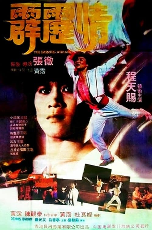 霹靂情のポスター