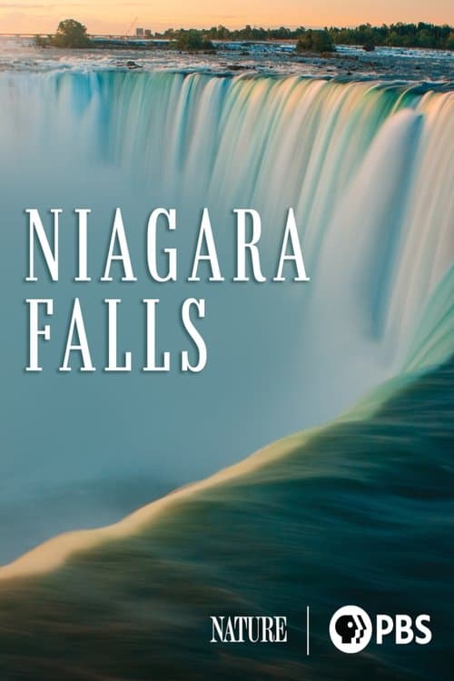 Niagara Fallsのポスター
