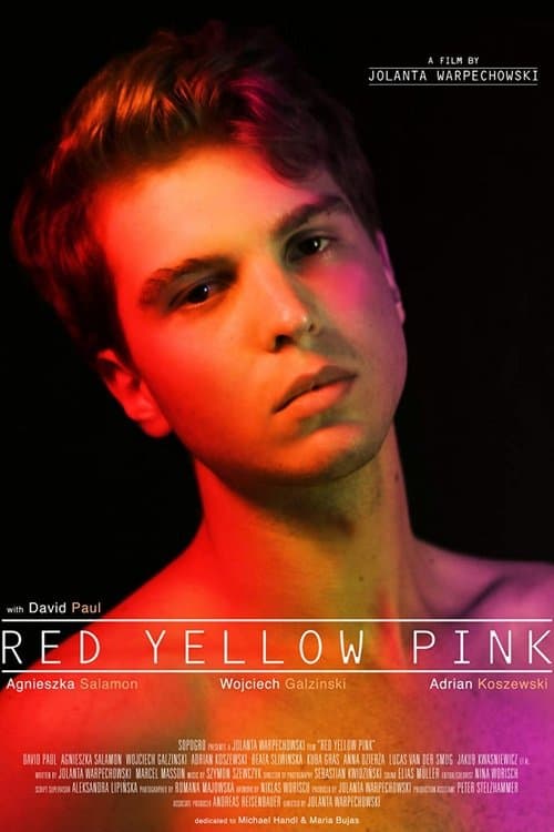 Red Yellow Pinkのポスター