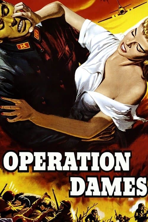 Operation Damesのポスター