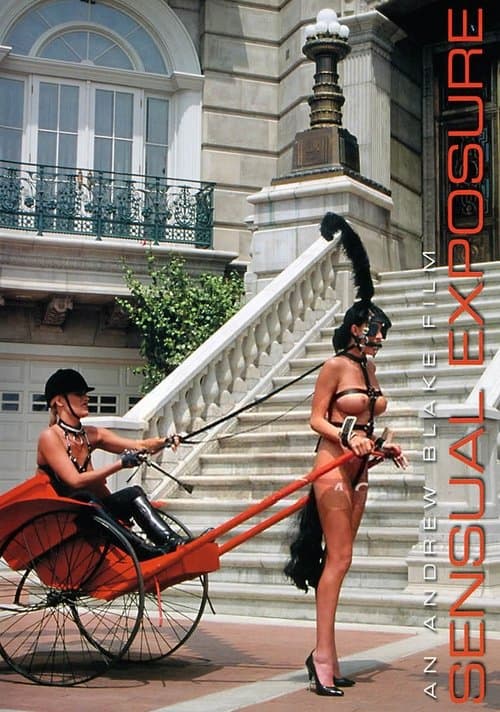 Sensual Exposureのポスター