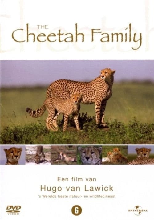 Cheetah Storyのポスター