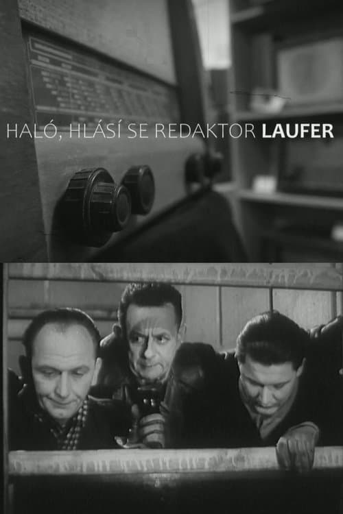 Haló, hlásí se redaktor Laufer!のポスター
