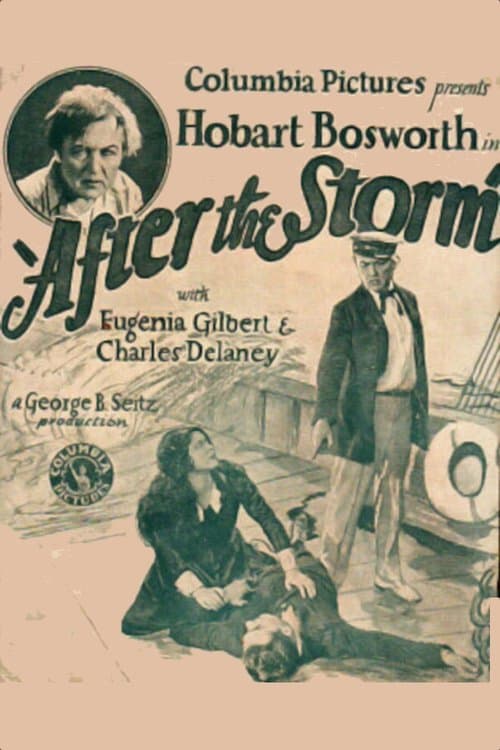 After the Stormのポスター