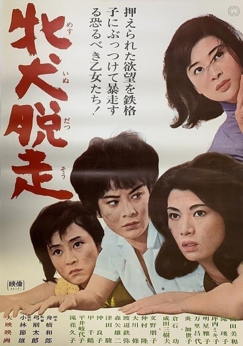 牝犬脱走のポスター