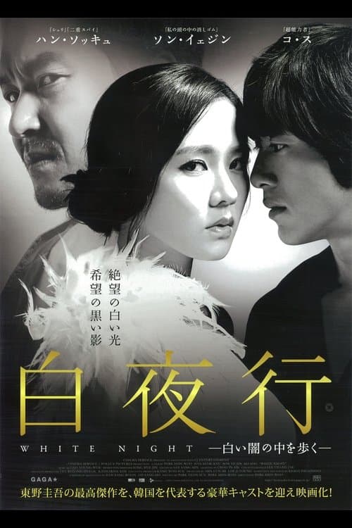 白夜行-白い闇の中を歩く-のポスター