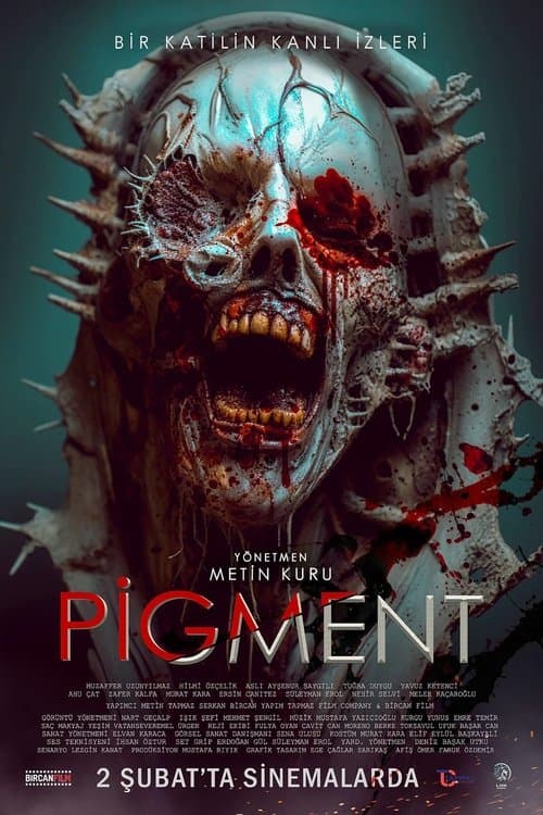 Pigmentのポスター