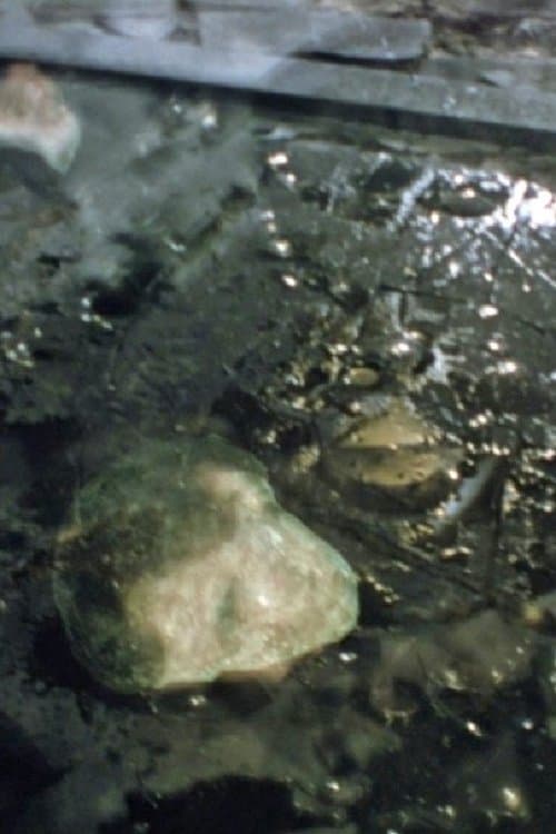 Faces of Deathのポスター